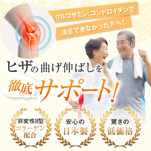 Fine Japan Glucosamine Functional Food with Type II Collagen 250 Tablets