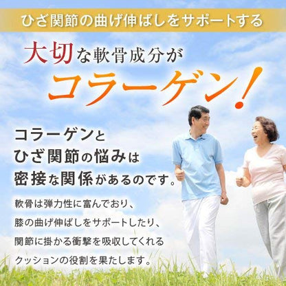 Fine Japan Glucosamine Functional Food with Type II Collagen 250 Tablets