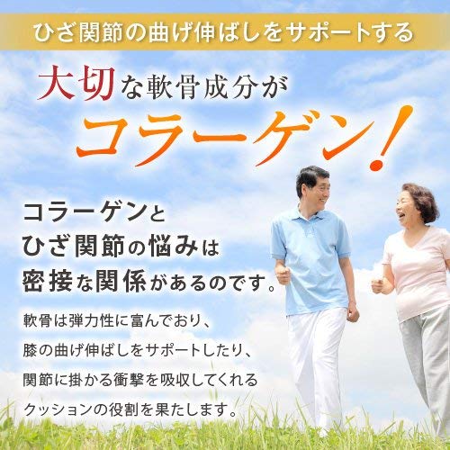 Fine Japan Glucosamine Functional Food with Type II Collagen 250 Tablets