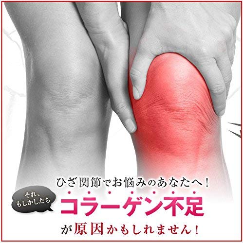 Fine Japan Glucosamine Functional Food with Type II Collagen 250 Tablets