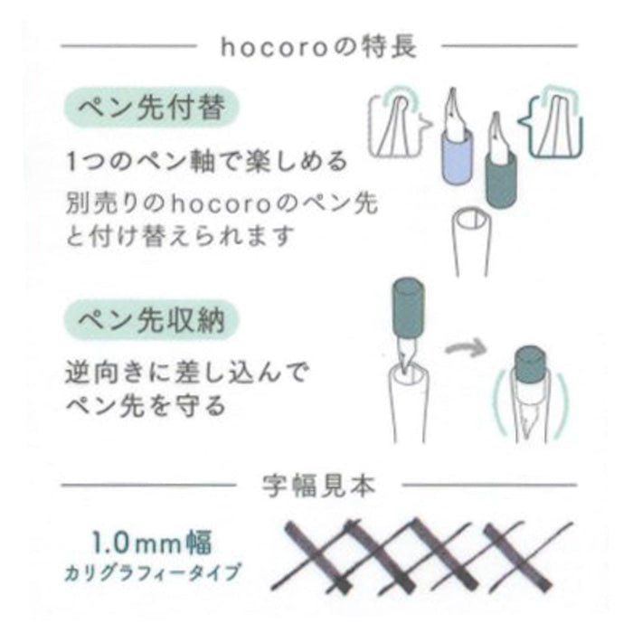 Sailor 钢笔 1.0 毫米笔尖灰色 Hocoro 蘸水笔，带沼泽墨水 12-013
