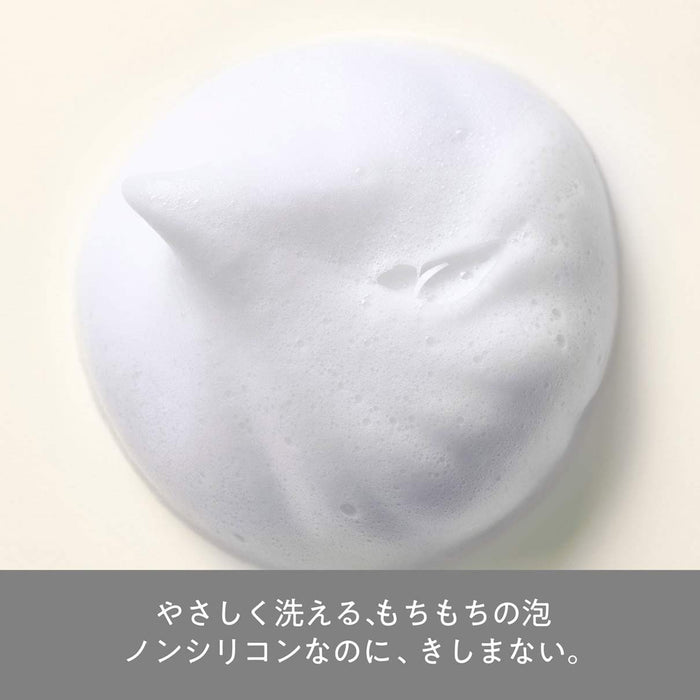 Hair Recipe 日本米油柔順受損髮質護理 350G