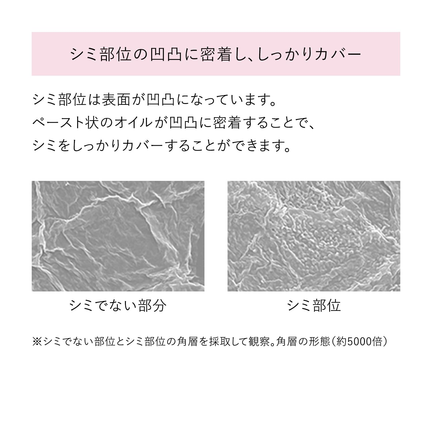 Haku Medicated Whitening Serum Foundation 30G Liquid by Shiseido