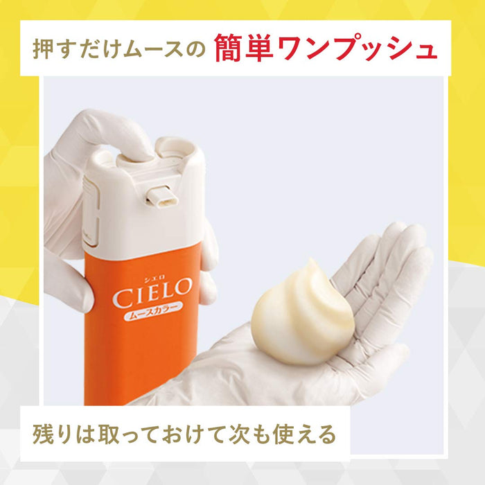 Cielo Hoyu Mousse Color 4M 摩卡棕色染发剂套装 50G 每套