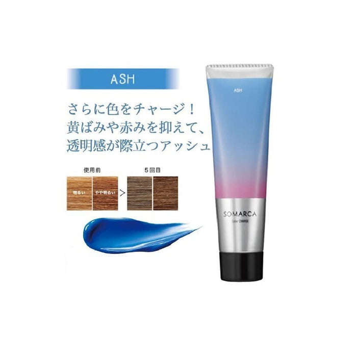 Hey Hoyu Color Charge Ash Treatment 130G – 持久護髮