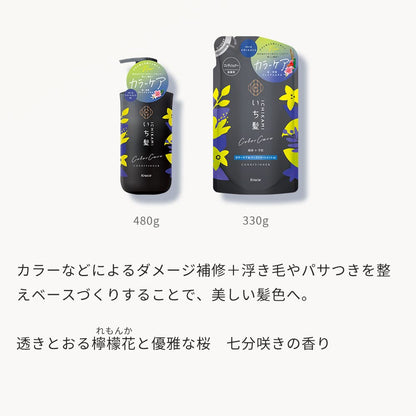 Ichikami Color Care Treatment Conditioner Pump 480G | Prevents Color Fading