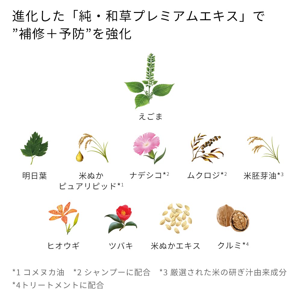 Ichikami Color Care Shampoo 480ml - Silicone-Free Amino Acid Prevents Fading