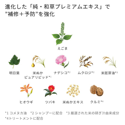 Ichikami Color Care Rinse-Off Treatment 230G | Damage Repair & Color Fading Prevention