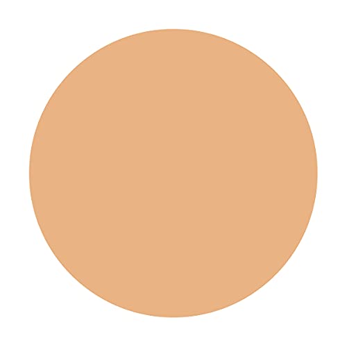 Integrate Gracy Essence Powder BB Refill SPF22 PA++ 7.5g for Natural to Dark Skin