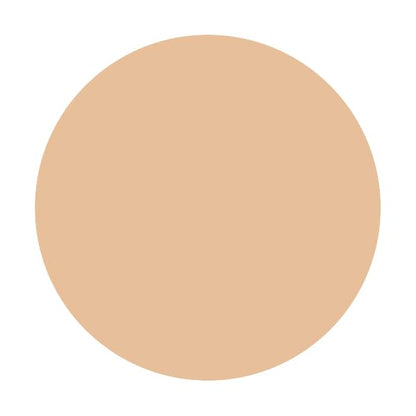 Integrate Gracy Premium Pact Foundation Refill Ocher 20 Natural Skin 8.5G