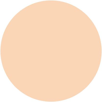 Kiss Isehan Matte Chiffon BB Cream SPF31 PA++ 02 Natural Finish