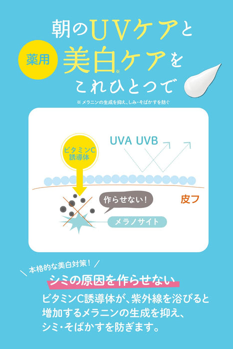 Uv Forecast 40g Non-Chemical Medicated Whitening UV Cream by Ishizawa Laboratory