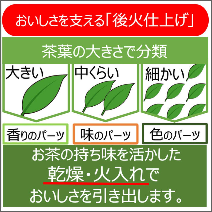 Itoen Oi Ocha Yame Tea 100G - Premium Japanese Green Tea