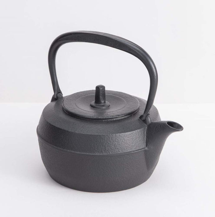 Leave It Alone Iwachu Tetsubin Japanese Cast Iron Teapot 1.1L Kettle