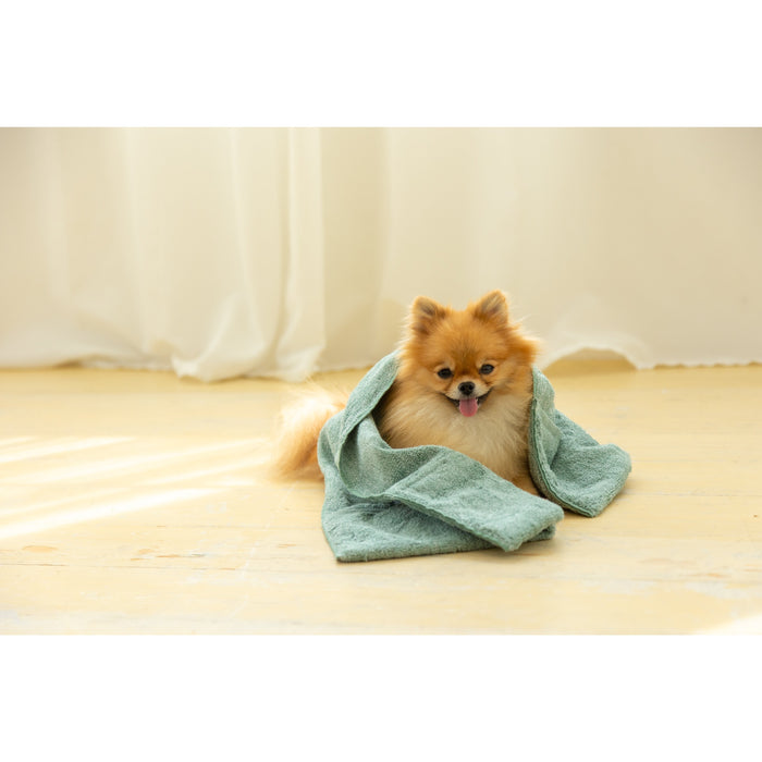 Jogan Super Absorbent Green Pet Bath Towel 34x78Cm