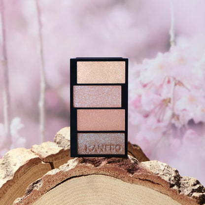 Kanebo Eyeshadow 06 - Vibrant Colored Shadow for Stunning Eyes