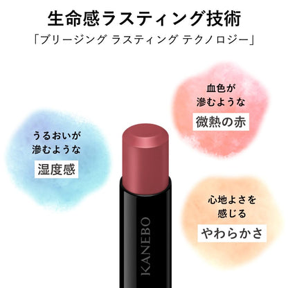Kanebo Rouge Star Breeze B102 Lipstick Long-Lasting Hydrating Formula