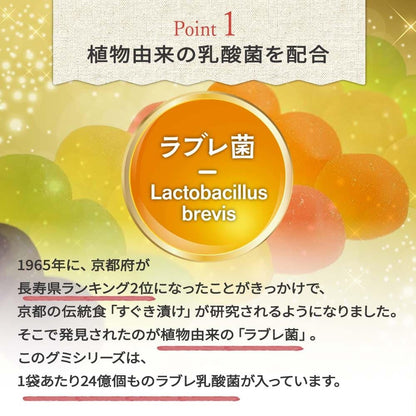 Kaneka Juicy Japanese Melon Gummies 40g