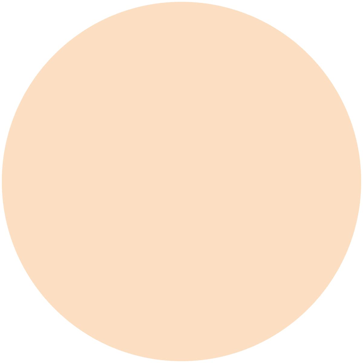 Kiss Me Ferme Bright Skin Powder Foundation 01 - SPF30 PA+++ 11G Replacement