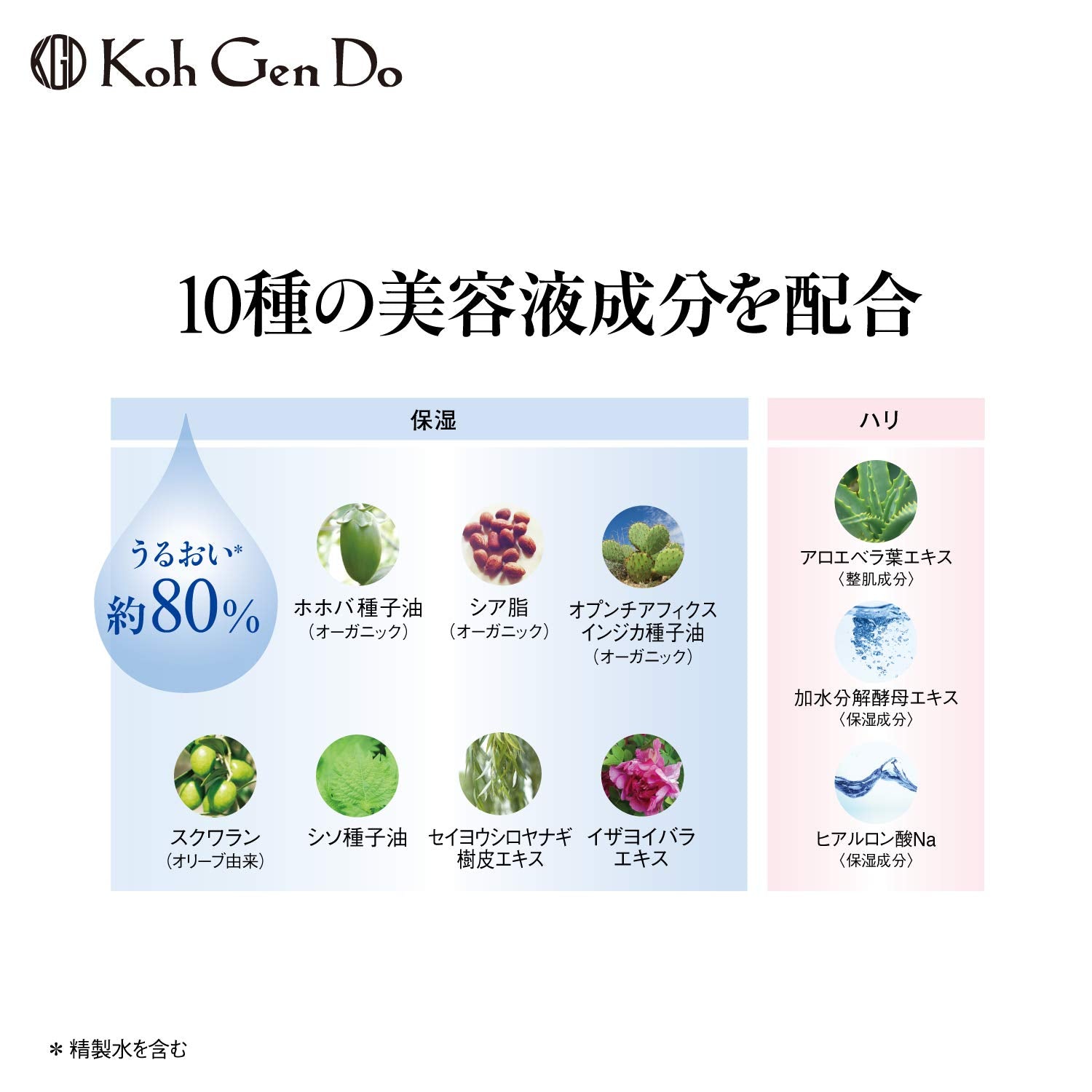 Koh Gen Do Moisture Foundation N 013 Pink Tone for Light Skin 20g