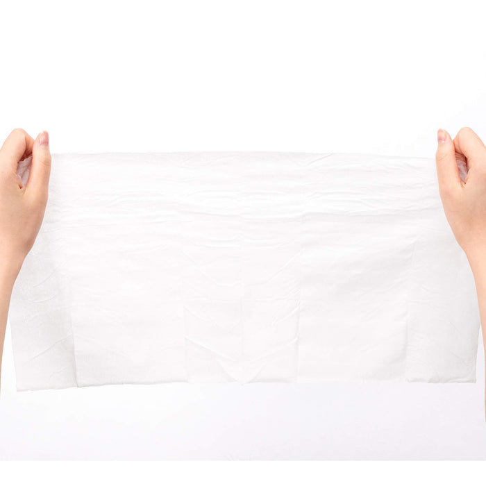 Escarat Extreme Cold Towel -4℃ Large Body Sheet (W48Cm X H25Cm) 5 Unscented Sheets