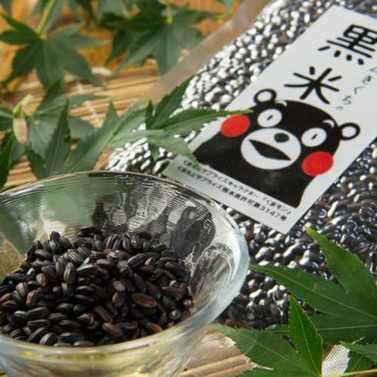 Shiraki Kyushu Great Nature Kuromai Japanese Black Rice 500g Healthy Grain
