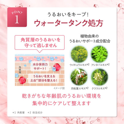 Canadel All-In-One Jelly Lotion 120ml