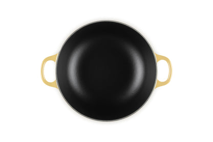 Le Creuset Quince Yellow Disney 22cm Marmit Pot Direct Flame IH Compatible