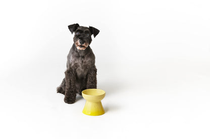 Le Creuset Pet Bowl Natural Pink Stain Resistant Microwave Safe for Pets