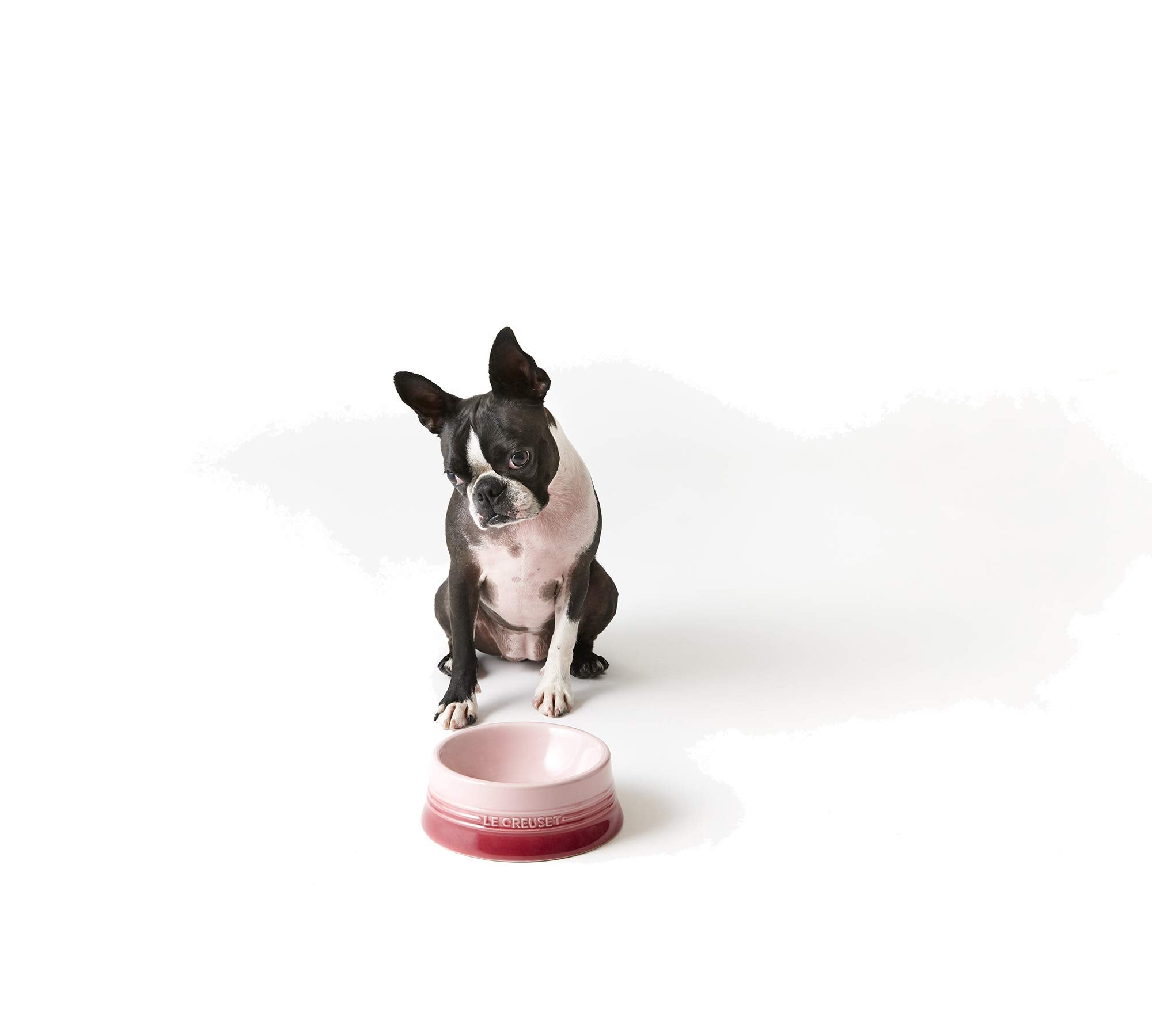 Le Creuset Pet Bowl M Cherry Red Stain Resistant Microwave Safe Japan