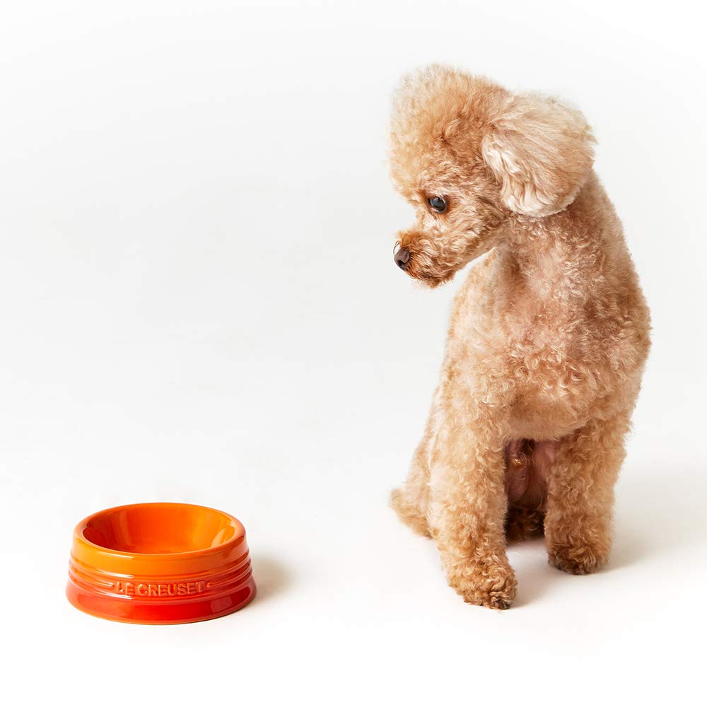 Le Creuset Cool Mint Pet Bowl S Stain Resistant Microwave Safe for Pets