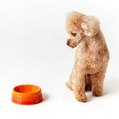 Le Creuset Cool Mint Pet Bowl S Stain Resistant Microwave Safe for Pets