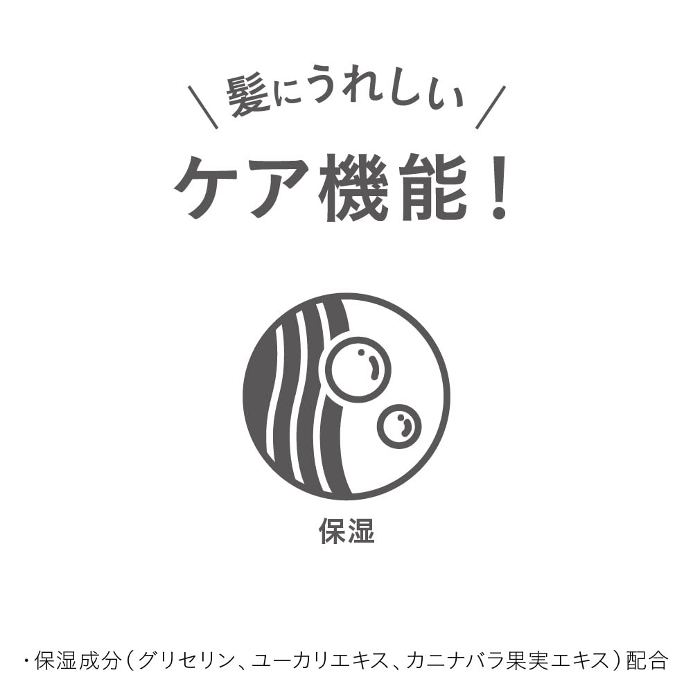 Liese Foam Hair Fixer 200Ml | Long-Lasting Hold Styling Mousse