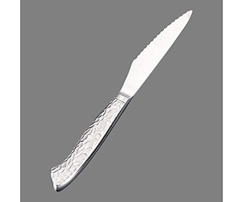 Endo Shoji Lightweight 230mm Stainless Steel Steak Knife Made in Japan