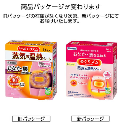 Megrhythm Steam Heat Sheet for Underwear Relief 5 Sheets