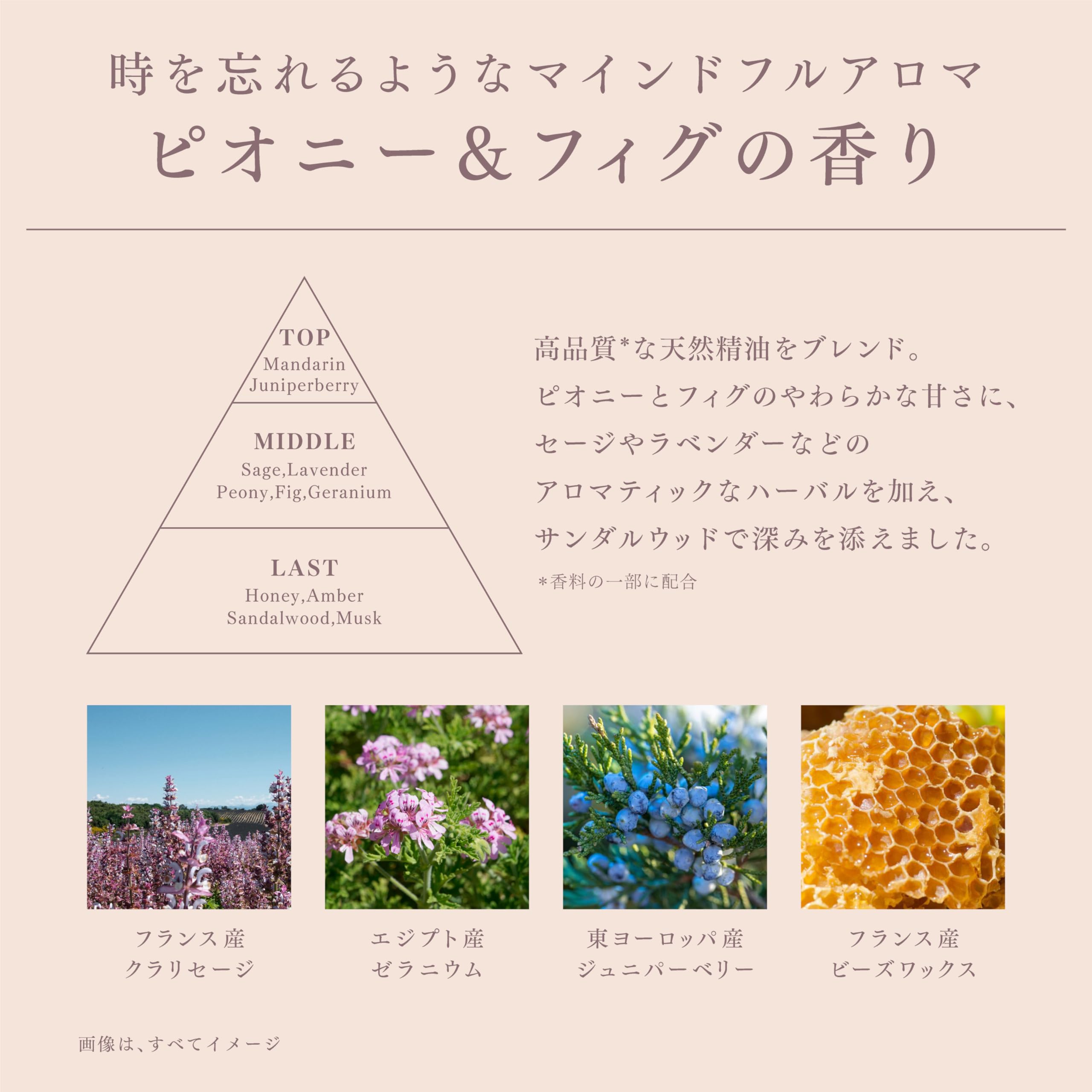 Melt Smooth Shampoo Refill 380Ml Peony and Fig Scent