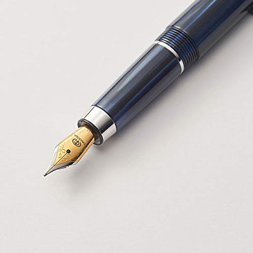 NAKABAYASHI Taccia Covenant Fountain Pen Persimmon Winds Nib: F