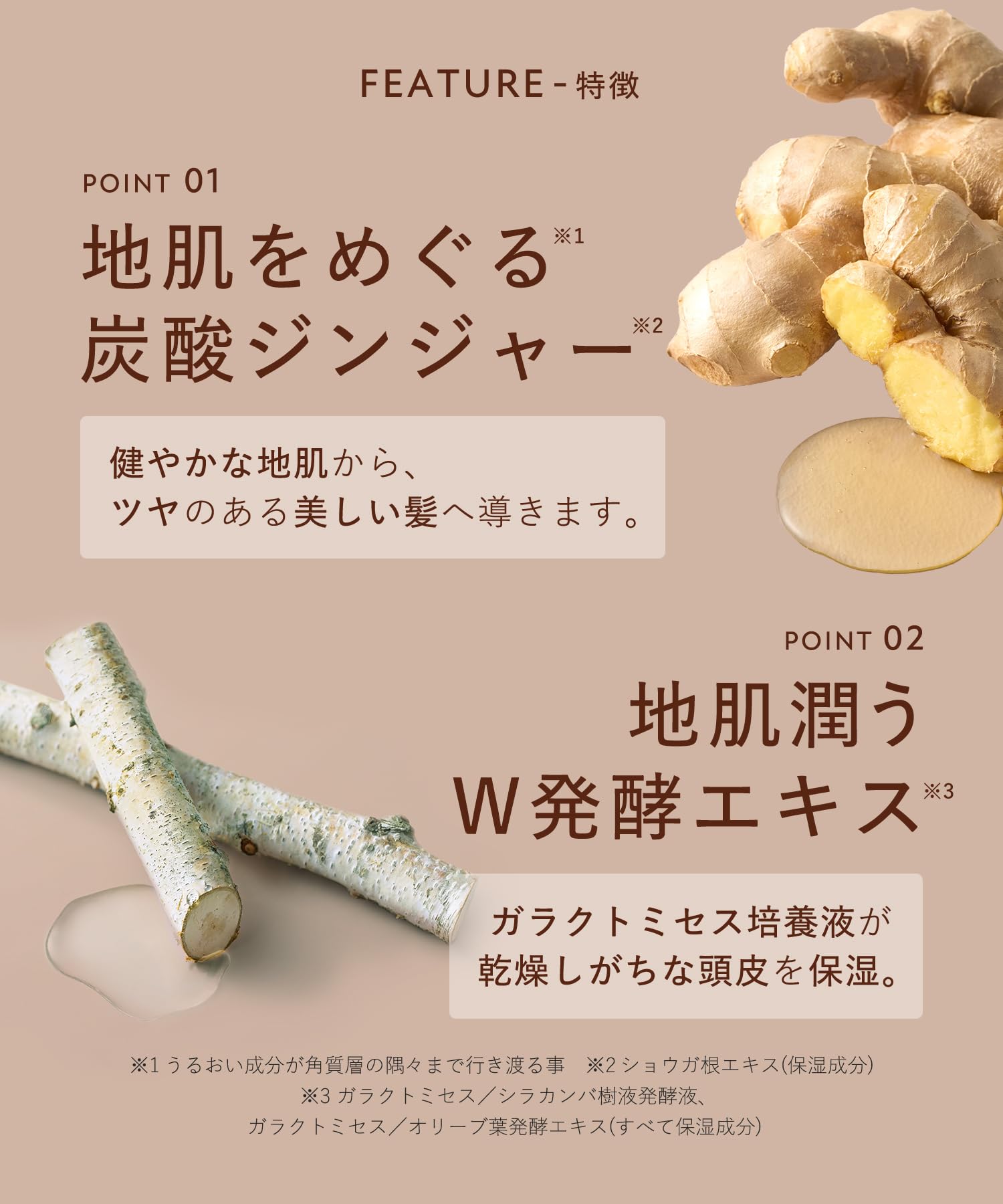 Botanist 直髮抗老護理補充裝