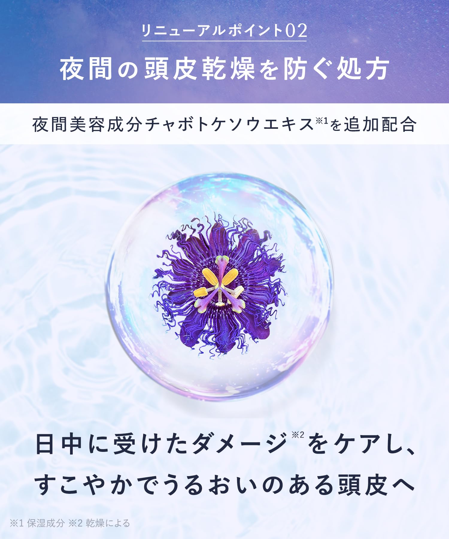 Yolu Yoru Shampoo Relax Night Repair - New Model Hair Renewal Formula