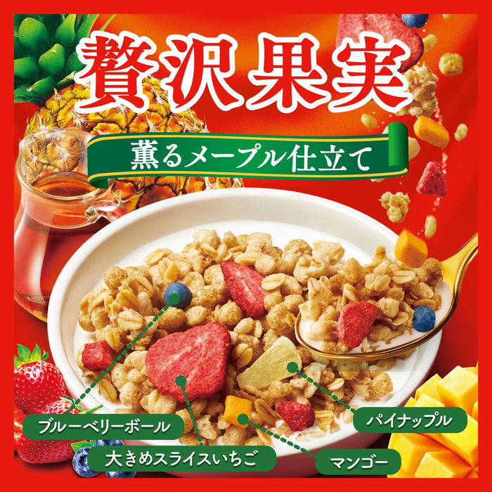 日清食品 Gorogura 混合水果枫糖格兰诺拉麦片 320G