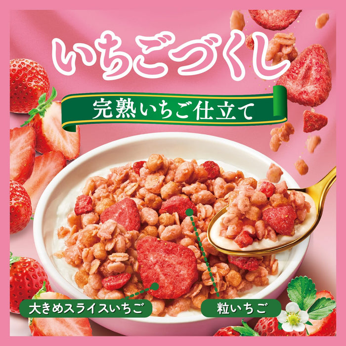 Nissin Foods Gorogura Strawberry Granola High Fiber Cereal 320G Breakfast