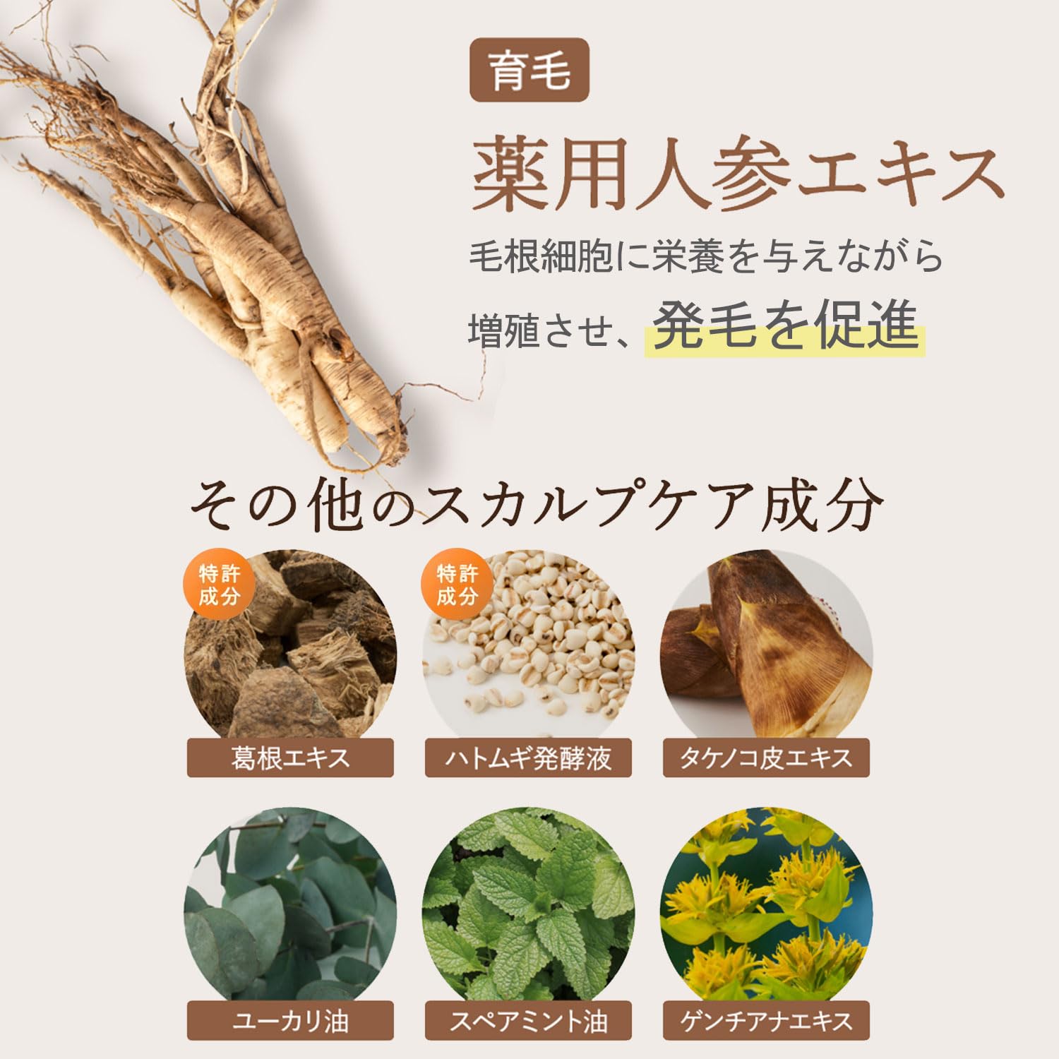 Off&Relax Medicated Hair Growth Tonic 100ml Quasi-Drug Formula