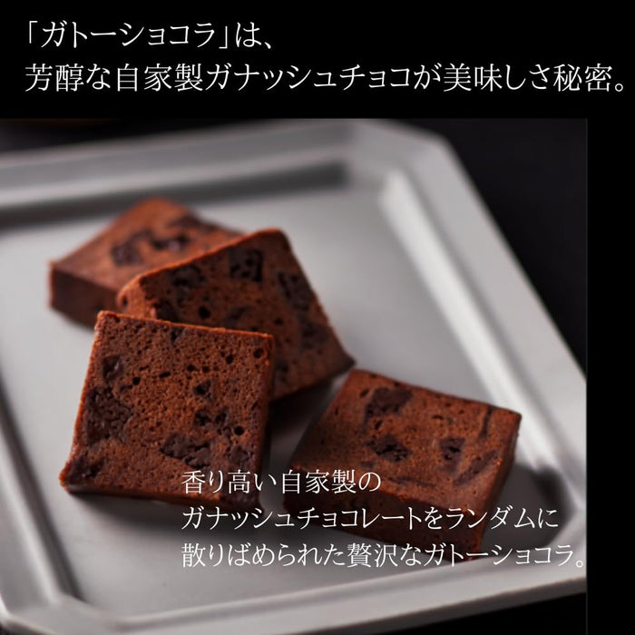 今天 Oggi Gateau Chocolat - 12 颗独立包装的浓郁巧克力糖果礼物