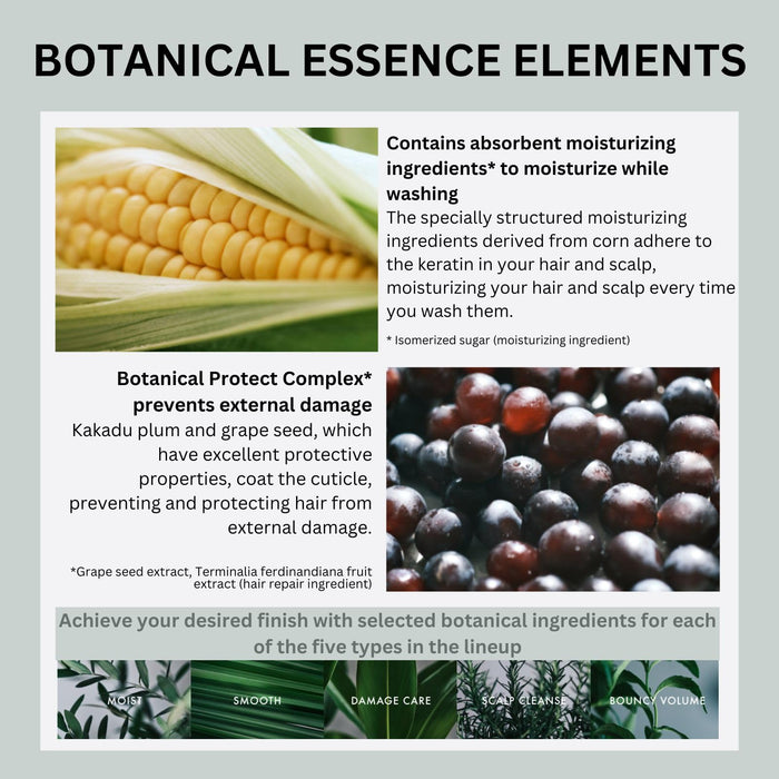 Botanist Bouncy Volume 洗发水 490 毫升 植物护发 不含硅油