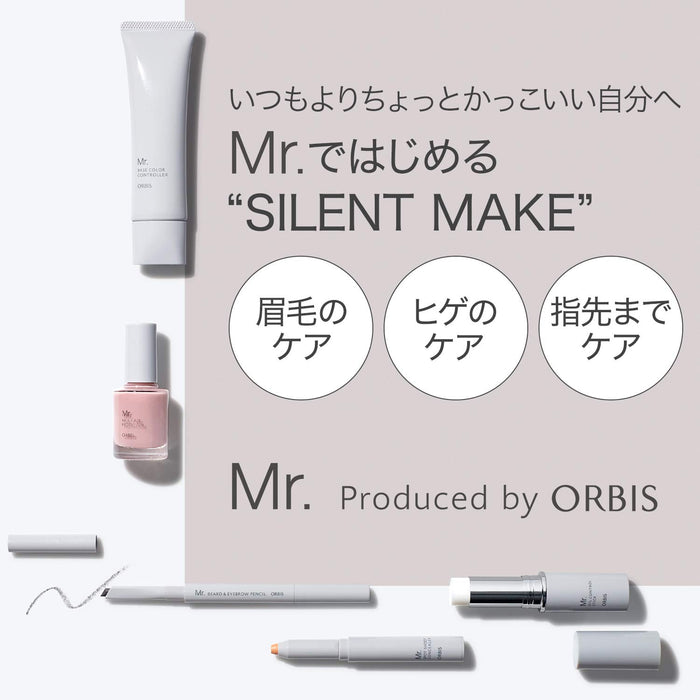 Mr. Orbis Beard and Eyebrow Pencil Brave Gray Eyebrow Pencil