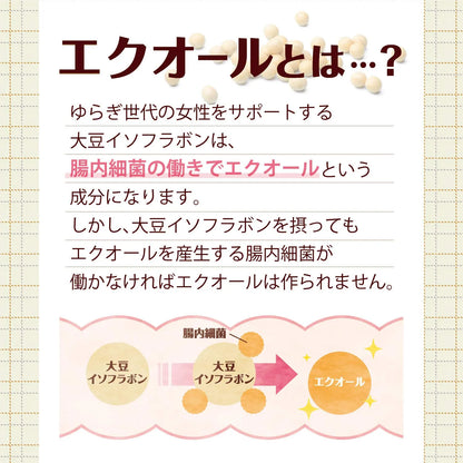 Orihiro Equol & Fermented Ginseng 90 Tablets - Soybean Extract Products - Estrogen Supplements