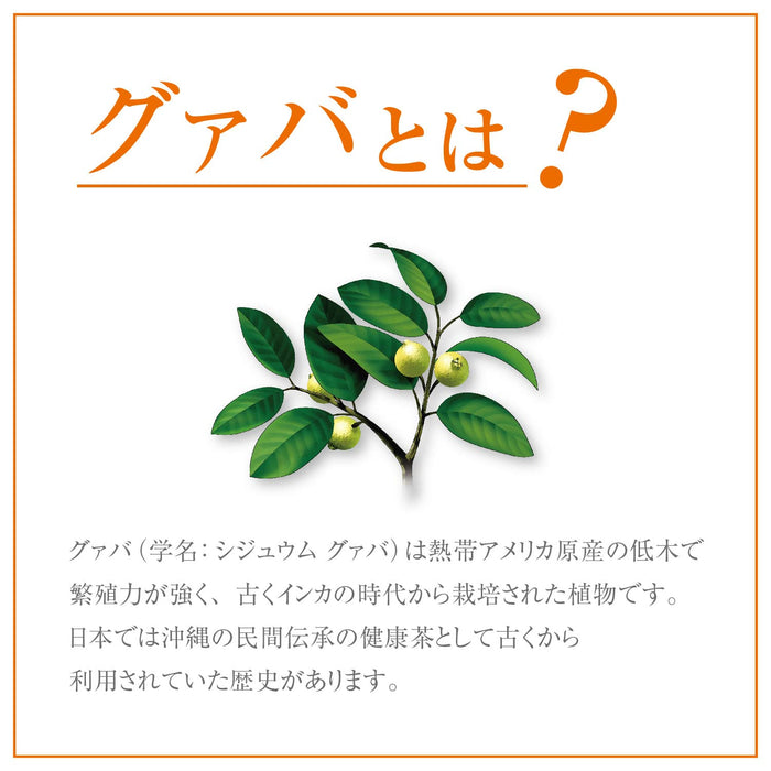 Orihiro 番石榴茶 超值装 2G X 48 包 无咖啡因 健康饮品