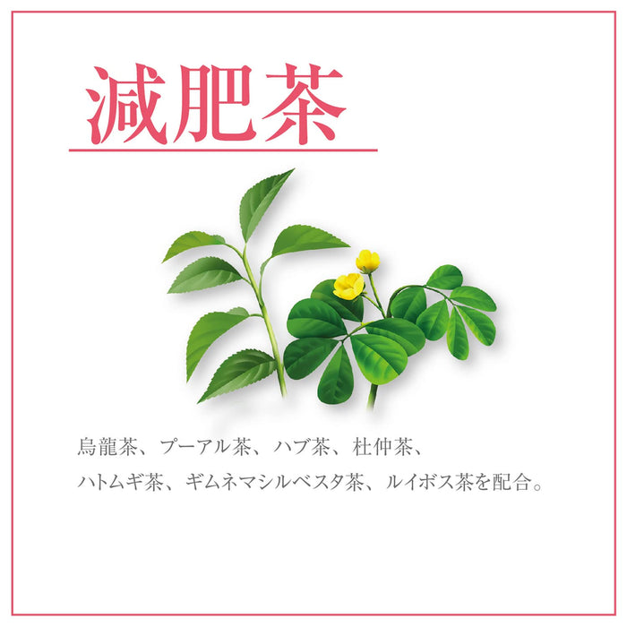 Orihiro 超值装减肥茶 3G X 48 包杜仲普洱匙羹藤茶