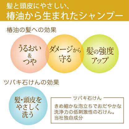 Camellia Oshima Tsubaki Oil Shampoo 400ml for Dandruff & Itchy Scalp Silicone-Free