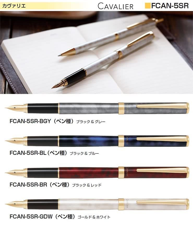 Pilot Cavalier Fine Fountain Pen Black & Blue Fcan-5Sr-Blf - Made In Japan